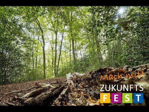 Optimale Nutzung von Raum und Ressourcen in Kolpingstr. 17
