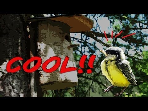 Entdeckung großer Vogelbrutstätten: Lebensräume der Artenvielfalt